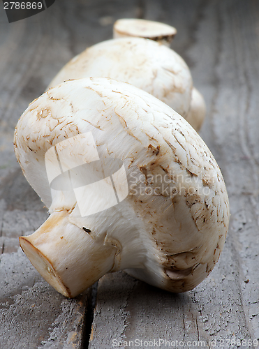 Image of Big Raw Champignons