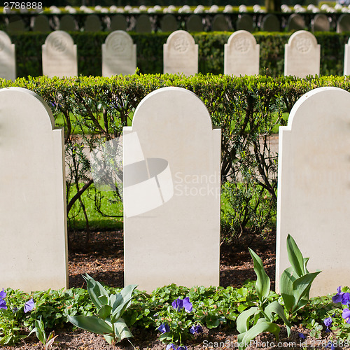 Image of Rows of tombstones