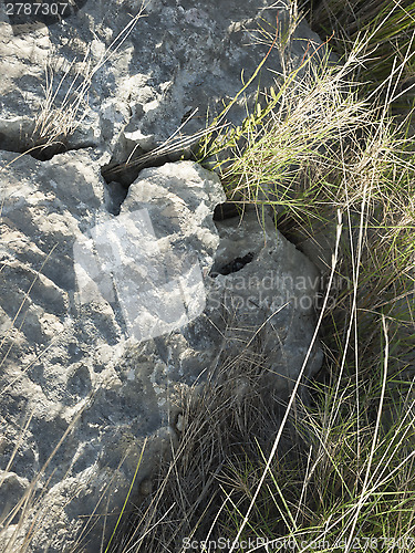 Image of stones and grass on the island