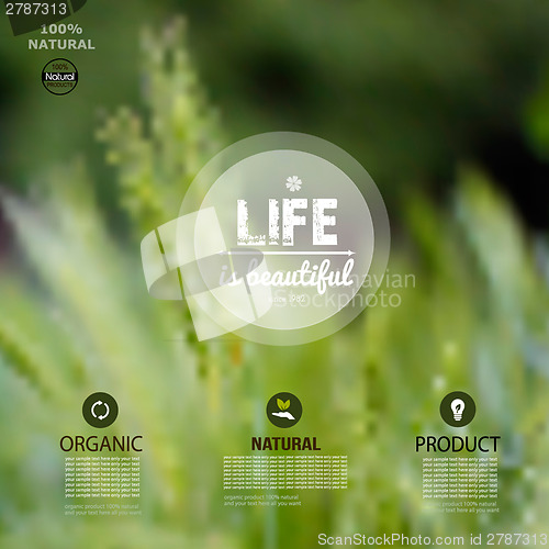 Image of Vector summer background