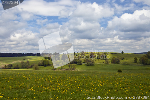 Image of Spring landscape