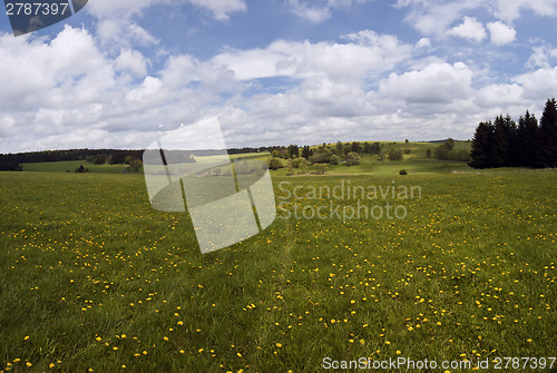 Image of Spring landscape