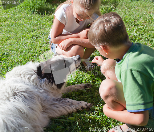 Image of Children and the dog in grass