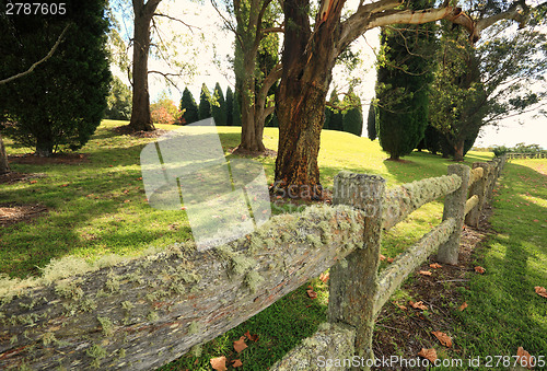 Image of Lichen covered fence