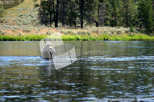 Image of wading in yellowstone river