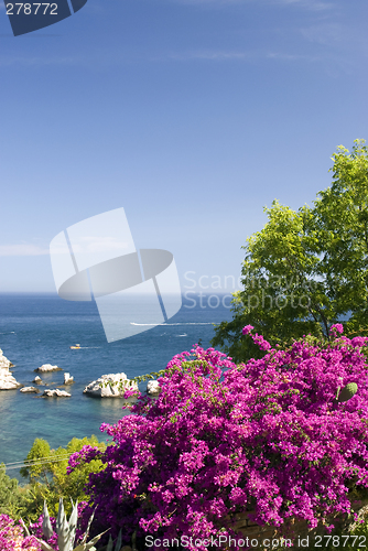 Image of coastal scene with flowers sicily
