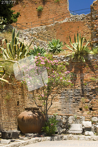 Image of garden taormina sicily