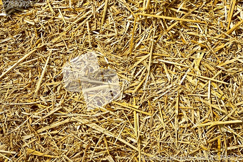 Image of Roughly chopped wheat straw