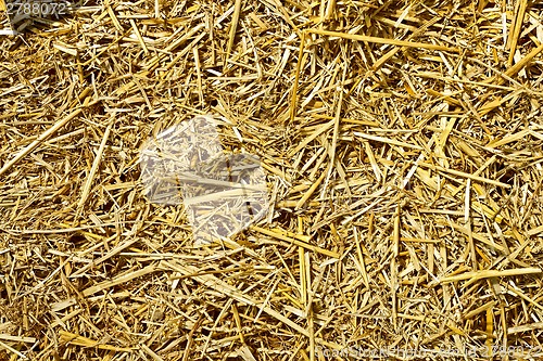 Image of Roughly chopped wheat straw