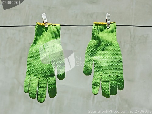 Image of Green gloves hanging on a wire in the sunlight