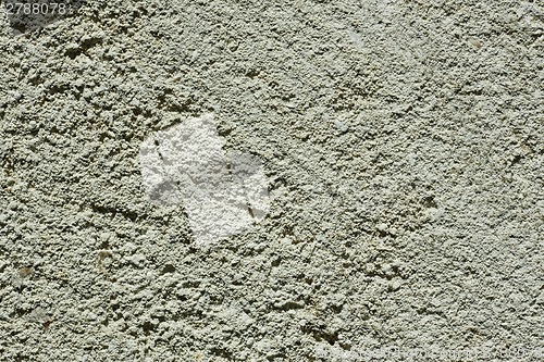 Image of Section of limestone closeup