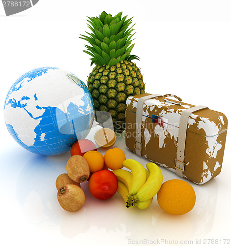 Image of Citrus,earth and traveler's suitcase 