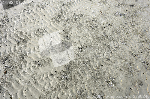 Image of footprints in the sand