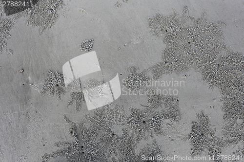 Image of footprints in the sand