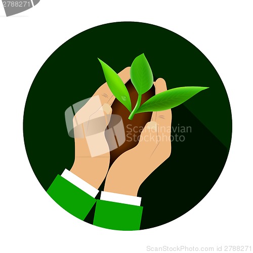Image of Hands holding young plant.