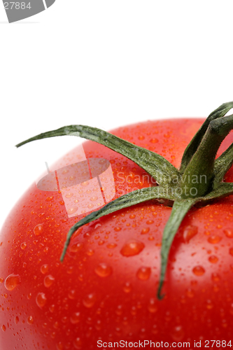 Image of tomato macro