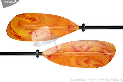 Image of colorful kayak paddle 