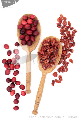 Image of Cranberry Fruit