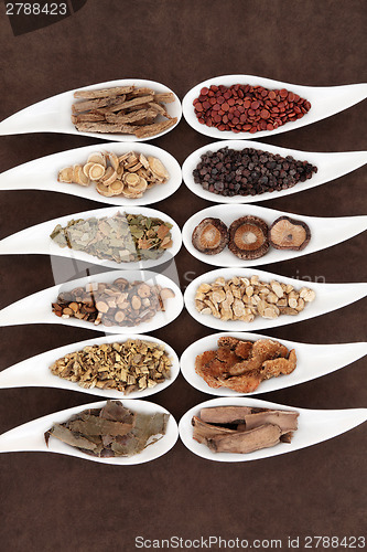 Image of Chinese Yang Herbs