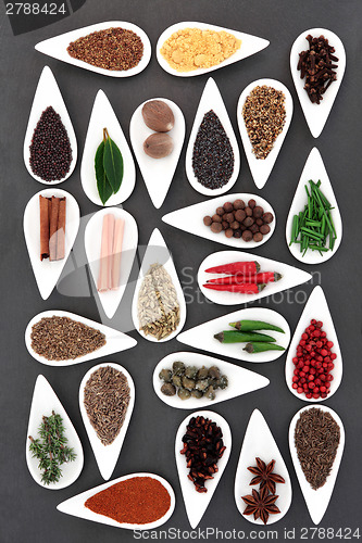 Image of Spice and Herb Selection