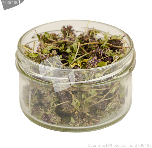 Image of jar of eco healing dried thyme on white background 