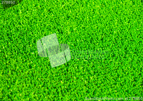 Image of Artificial grass