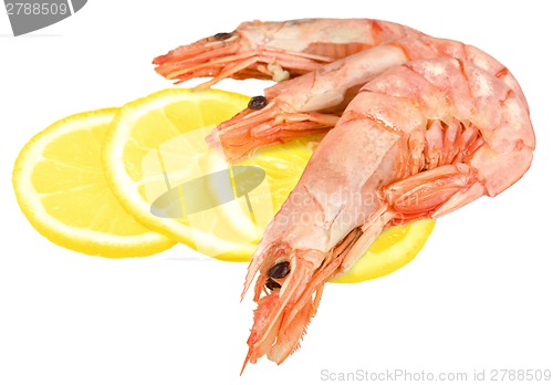 Image of Boiled shrimp