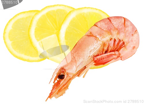 Image of Boiled shrimp