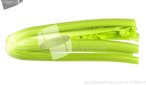 Image of Fresh ripe celery