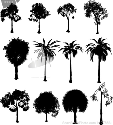 Image of silhouette trees