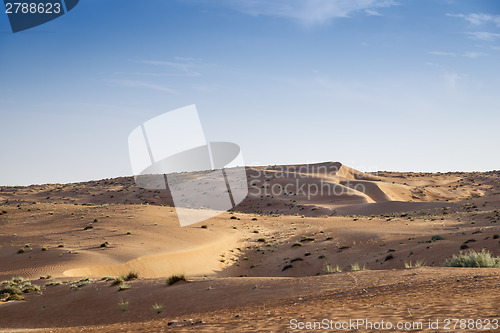 Image of Desert Wahiba Oman