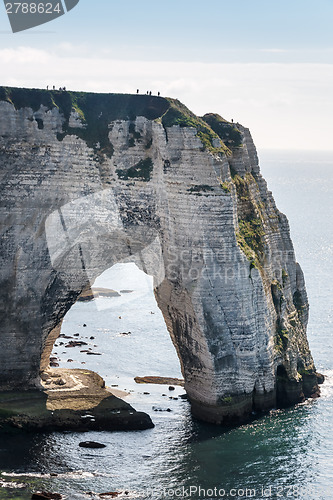 Image of Alabaster coast Normandy