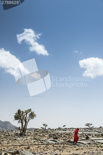 Image of Jebel Shams bedouin woman