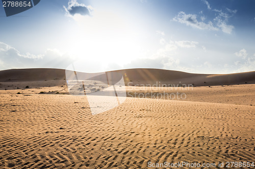 Image of Sunset Wahiba Oman