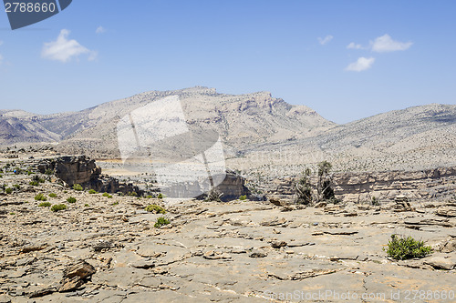 Image of Landscape Jebel Shams