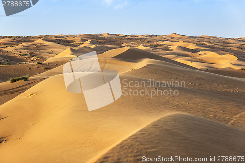 Image of Desert Wahiba Oman