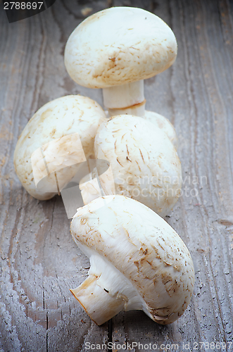 Image of Raw Champignons