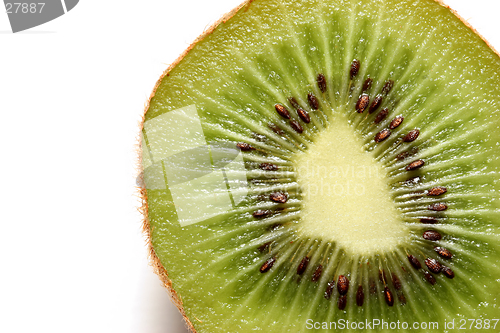 Image of kiwi