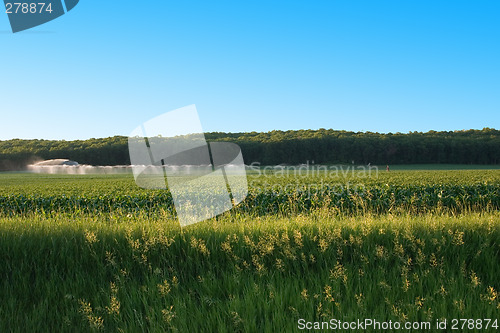 Image of Irrigation