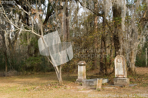 Image of Gravestones