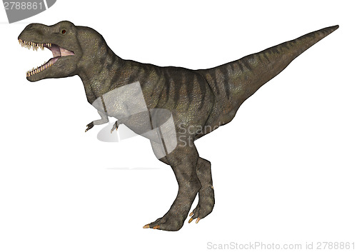 Image of Tyrannosaurus Rex