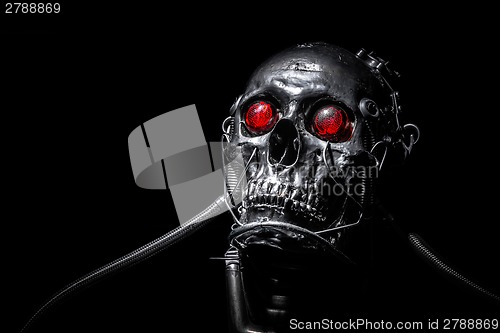 Image of Skull of a human size robot