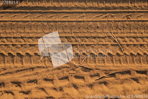 Image of Dry soil background in warm colors