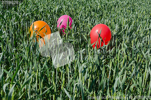 Image of close up of little balloons on high grass 