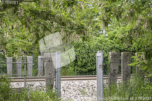 Image of White flowers on on gates to railroad