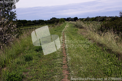 Image of Walking road in the countryside