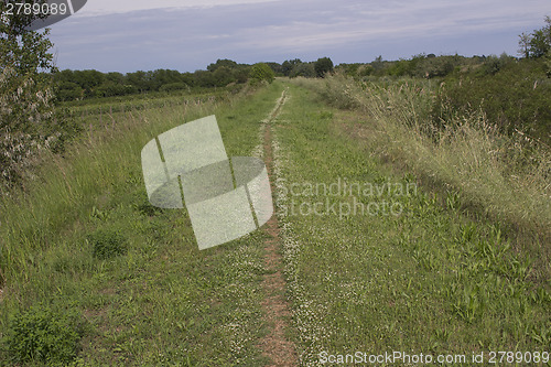 Image of Walking road in the countryside