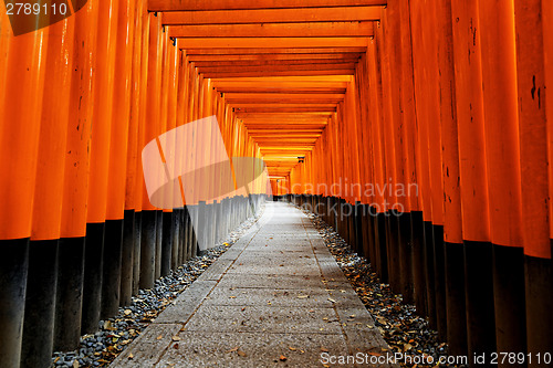 Image of Fushimi Inari Taisha Shrine