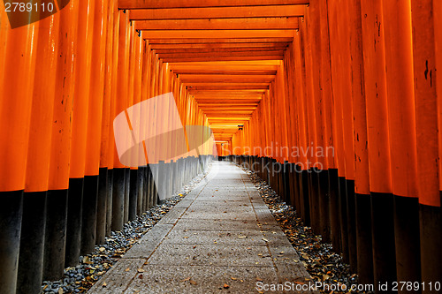 Image of Fushimi Inari Taisha Shrine