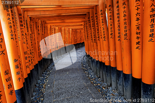 Image of Fushimi Inari Taisha Shrine